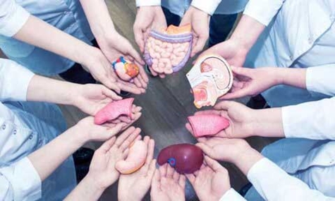 اهدای بیش از ۶۷۰۰ عضو پیوندی در دانشگاه علوم پزشکی شهیدبهشتی